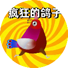 疯狂的鸽子游戏