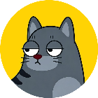 猫猫咪呀