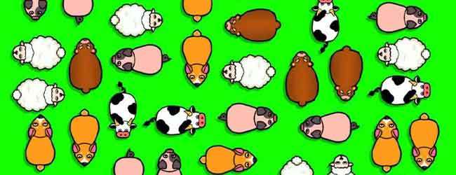 解救小猪消消消乐