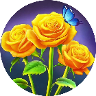 花朵经典版消消乐