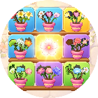 花朵趣味消
