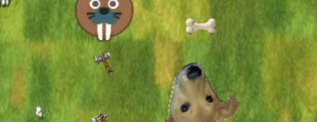 狗狗大作战