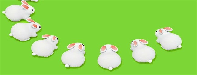 解救小兔兔