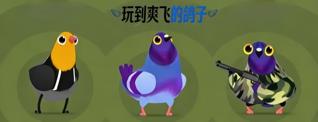 玩到爽飞的鸽子