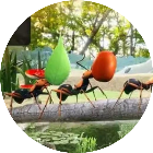 蚂蚁世界生存进化