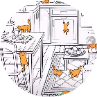 寻找猫咪游戏