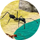 蚂蚁世界模拟器