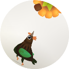 疯狂的鸽子上班版