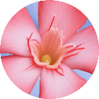 消除新花样