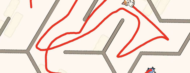 猫咪抓鱼迷宫画线