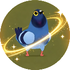 玩到爽飞的鸽子