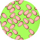 脑洞谁更快