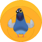 疯狂跳舞的鸽子