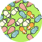 拯救小动物合集