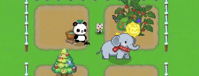 萌猫派对