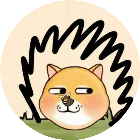 拯救狗子