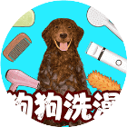 解压闲玩挑战