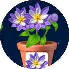 全民插花消除