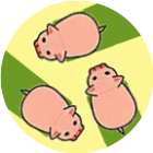 挪个猪吧