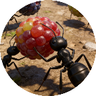 蚂蚁帝国模拟器