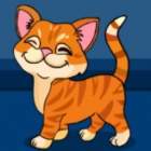 救援短尾猫