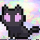 通感猫咪