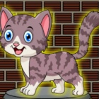 救援萌猫