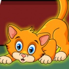 营救黄色小猫