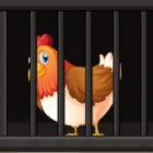 母鸡逃脱