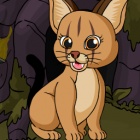 拯救狞猫