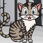 拯救笼中小猫