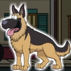 拯救牧羊犬
