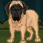 救援马士提夫犬
