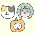 猫咪在哪里