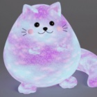 薛定谔的猫2