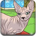 斯芬克斯猫