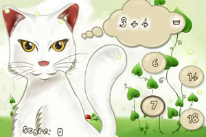 小猫算术